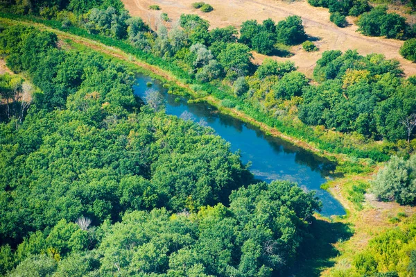 Bir Yaz Günü Havada Orman Manzarası — Stok fotoğraf