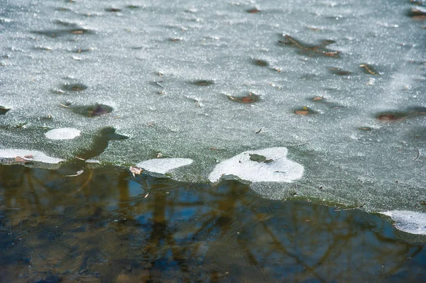 Floden Tyst Flödande Rinner Genom Skogen Tidigt Våren När Det — Stockfoto