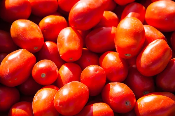 鲜红的蕃茄一个农民的市场售价为准备好的框 — 图库照片