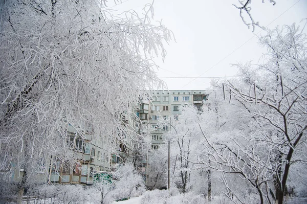 Karla kaplı ağaçlar kış şehir parkında
