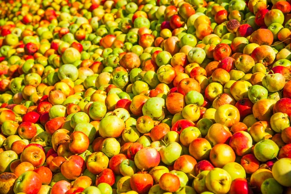 Ripe apples being processed and transported in an industrial production facility. Food industry. Textured background.