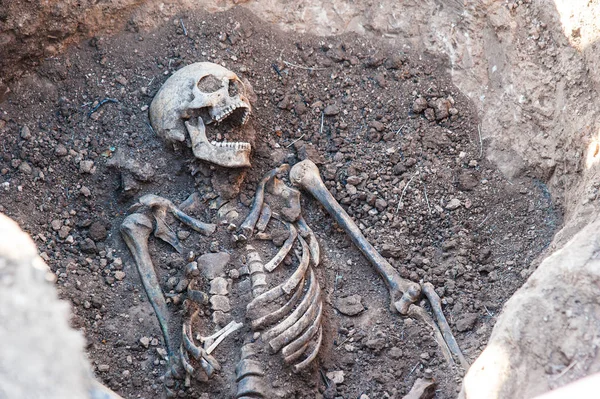 Skeleton soldier of the Second World War. Excavations