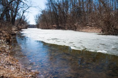 Erken baharda ormana sessizce akan akar nehir