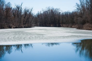 Erken baharda ormana sessizce akan akar nehir