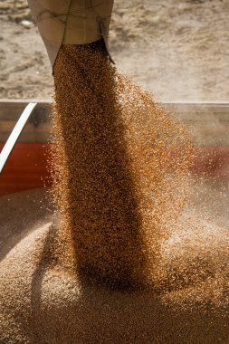 Tahıl asansörü. Tahıl depolama ve yükleme