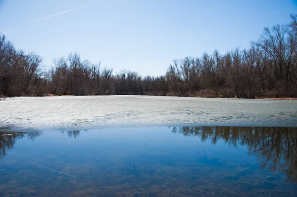 Erken baharda ormana sessizce akan akar nehir