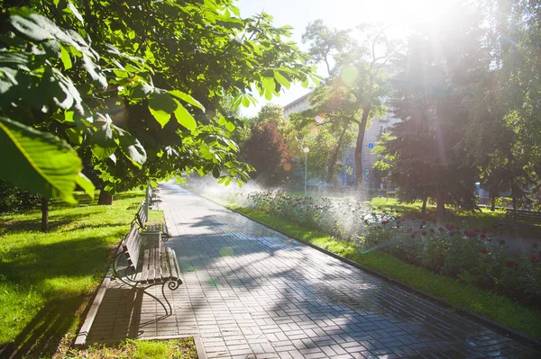 Arrosage de la pelouse et des fleurs roses le matin dans le parc — Photo