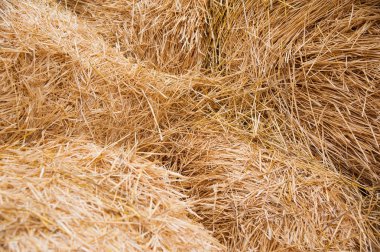 Depolama yığını saman yığınları ile