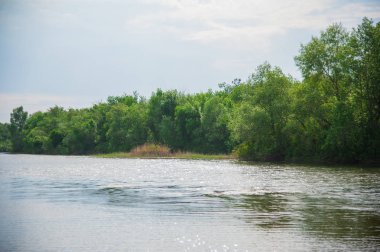 Nehir kıyısında yaz peyzaj