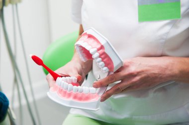 Diş Fırçası iyi temiz ağız yapmak nasıl öğretin