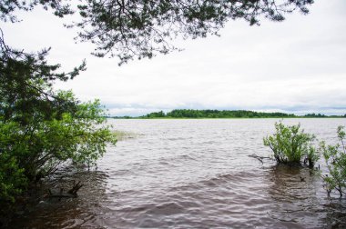 Nehir ile bulutlu yaz manzara