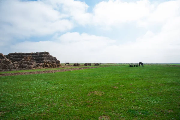 Straw haystacks piled together — Stock Photo, Image