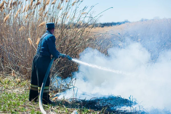 Fire, strong smoke. Burning reed in the swamp. Natural disaster — Stock Photo, Image