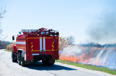 Ateş, güçlü duman. Bataklıkta yanan kamış. Doğal afet