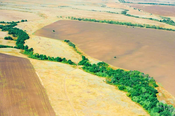 Tarlalar ve çayırlar. Havadan görünüm. Manzara. — Stok fotoğraf