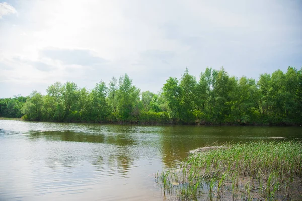 Letní krajina na břehu řeky — Stock fotografie