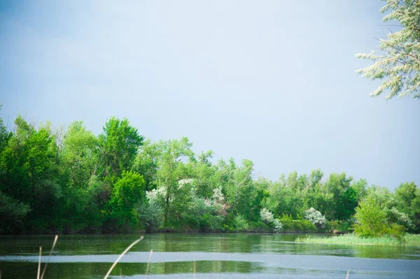 Letní krajina na břehu řeky — Stock fotografie
