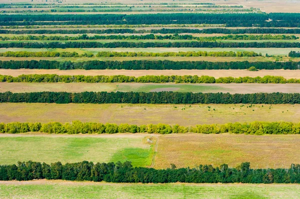 Velden en weiden. Luchtfoto. Landschap. — Stockfoto