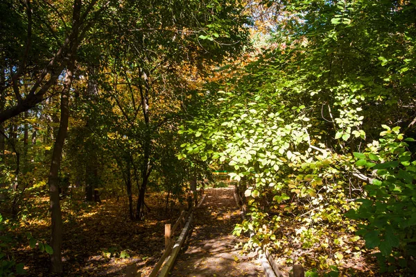 Солнечный осень в городском парке — стоковое фото