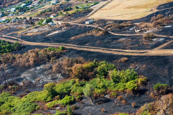 불에 탄된 나무와 잔디 화재 후입니다. 공중 보기 — 스톡 사진