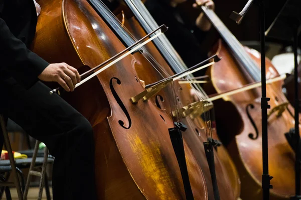 Violinist spelar violin närbild — Stockfoto