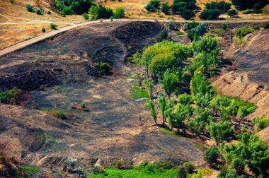 Yangından sonra kavrulmuş ağaçlar ve çimenler. Hava görüntüsü. Peyzaj