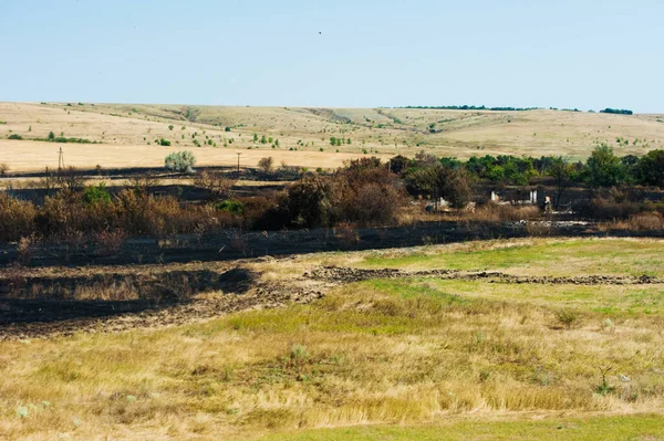 Rumput Terbakar Bumi Hangus Api Bencana Pemandangan Api — Stok Foto