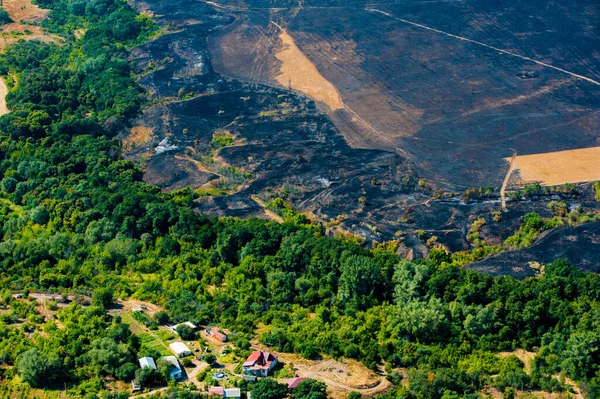 Yangından Sonra Kavrulmuş Ağaçlar Çimenler Hava Görüntüsü Peyzaj — Stok fotoğraf