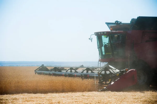 Tarım Buğday Tarlasında Hasat Makinesini Mavi Gökyüzüyle Birleştir — Stok fotoğraf