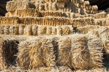 Çiftlikte balya saman dolu saman depolama döken