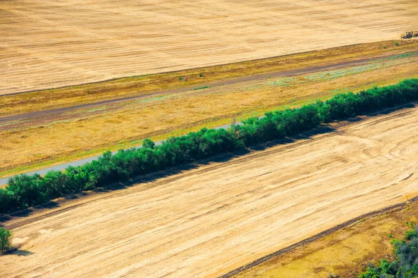 Αεροφωτογραφία Των Αγρών Και Των Λιβαδιών Κατά Διάρκεια Μιας Καλοκαιρινής — Φωτογραφία Αρχείου