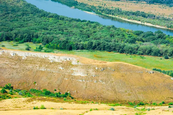 Bir Yaz Günü Havada Orman Manzarası — Stok fotoğraf