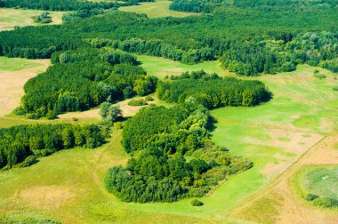 Bir yaz günü havada orman manzarası