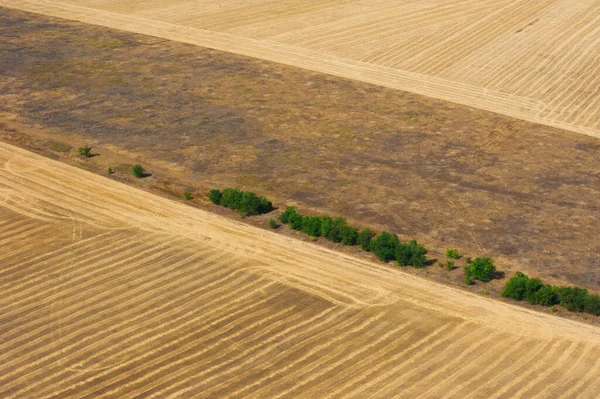 夏の日の間のフィールドと牧草地の空中ビュー — ストック写真
