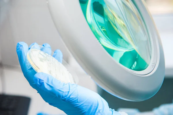 Mesa Trabajo Con Muestras Biológicas Laboratorio Microbiología — Foto de Stock