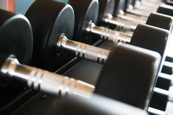 Modern gym interior with equipment. Barbells, dumbbells, treadmills, cardio equipment