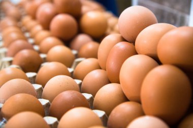 Modern bir kümes hayvanı fabrikasında nakliye hattında taze kahverengi yumurtalar.