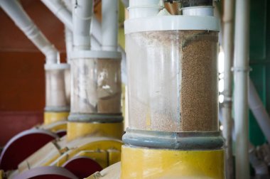 Buğday unu üretimi için elektrikli değirmen makineleri. Tahıl ekipmanı.