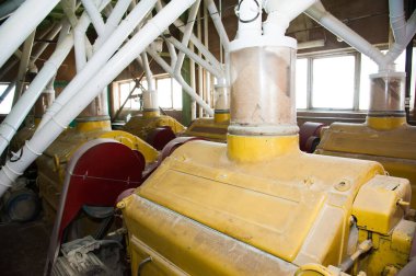 Buğday unu üretimi için elektrikli değirmen makineleri. Tahıl ekipmanı.