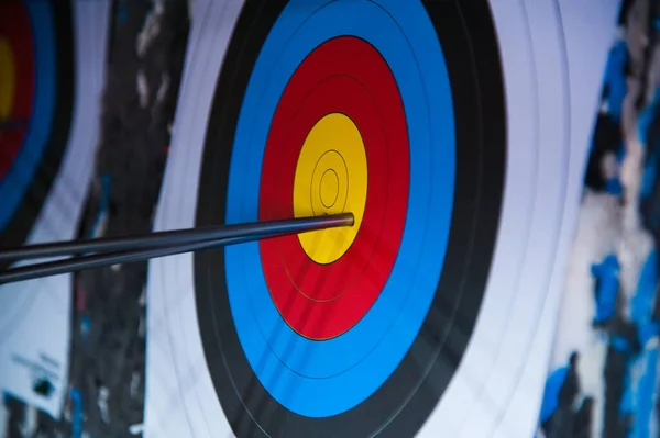 Archery. Arrows in archery target on archery range