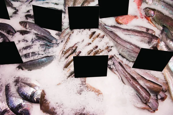 Fischfleischprodukt Regal Laden Haufen Fisch Auf Eis — Stockfoto