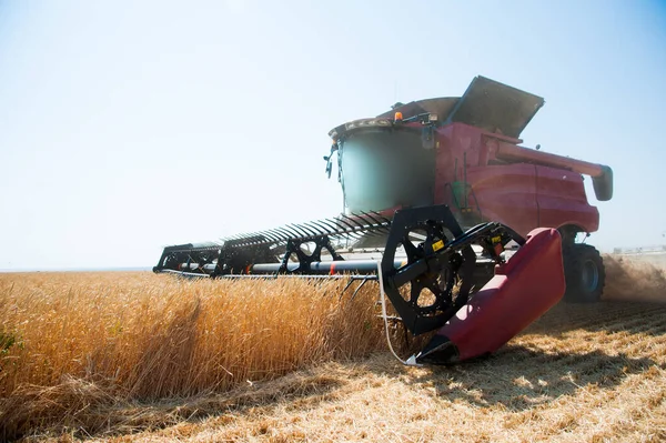 Landwirtschaft Mähdrescher Auf Einem Weizenfeld Mit Blauem Himmel — Stockfoto