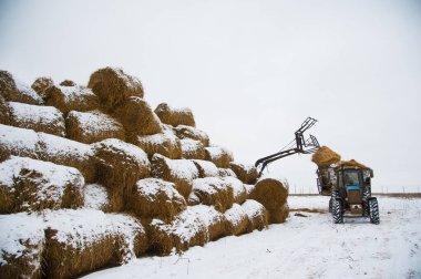 Çiftlikteki saman dolu saman deposu. Çiftlik yükleyicisi çalışıyor