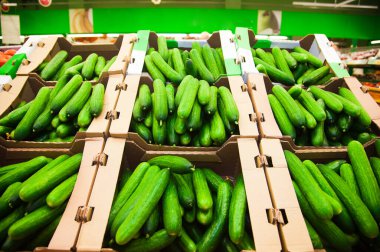 Süpermarketteki kutularda bir sürü salatalık.