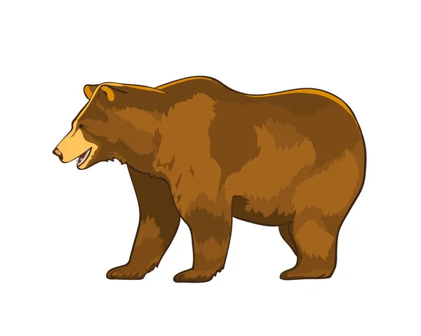 Color vector illustration of bear Grizzly isolated on white background — Stock Vector