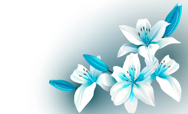 Modré a bílé kvetoucí květiny — Stockový vektor