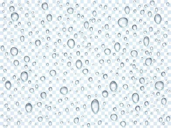 De l'eau, de la pluie, de la rosée ou des gouttes de douche isolées sur fond transparent. Gouttelettes pures condensées sur le gabarit de surface en verre de fenêtre. Illustration vectorielle — Image vectorielle