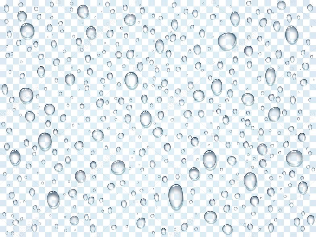 Water, rain, dew or splash shower drops isolated on transparent background. Pure droplets condensed on window glass surface template. Vector illustration