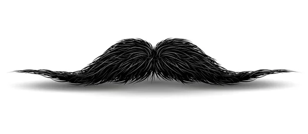 Charme bigodes para barbearia ou Mustache Carnaval. bigode vintage facial, engraçado encaracolado bigode preto ilustração —  Vetores de Stock