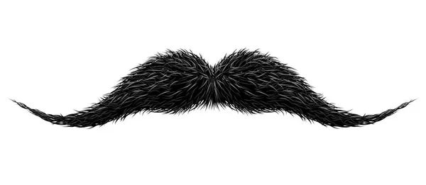 Mustaches para barbearia ou Mustache Carnival. bigode vitoriano preto vintage detalhado isolado no branco —  Vetores de Stock